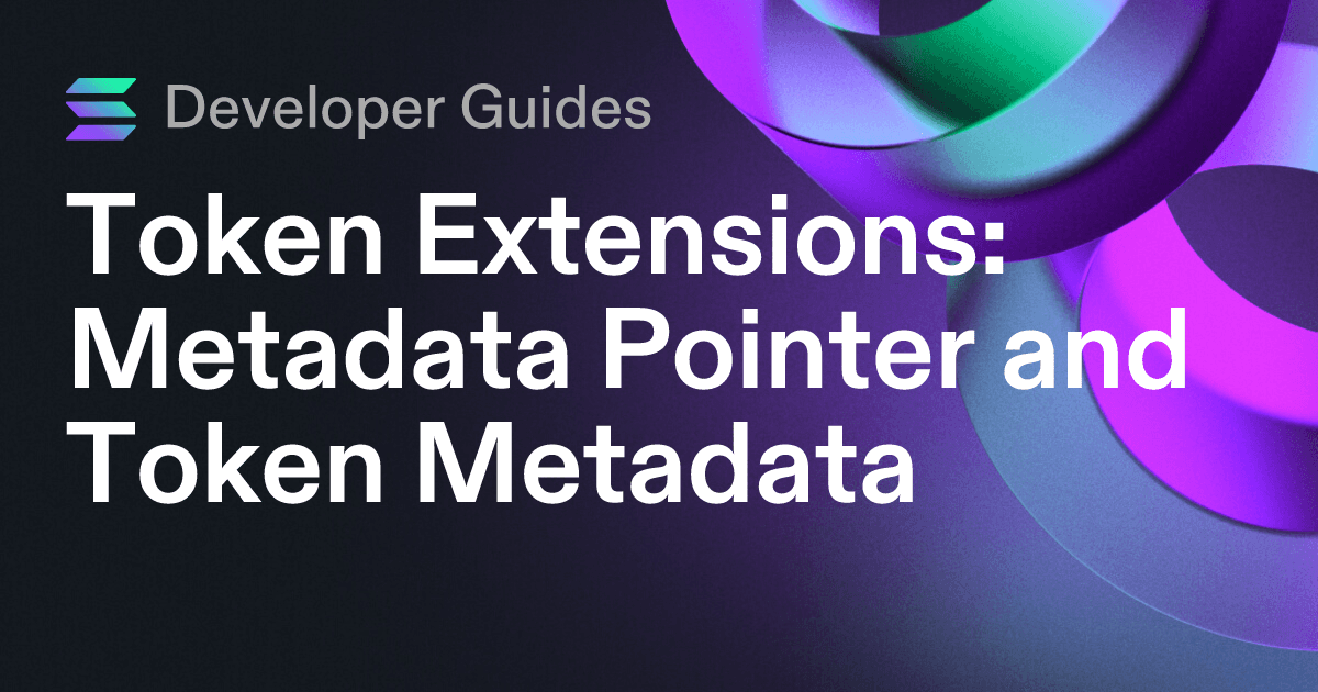 How to use the Metadata Pointer extension